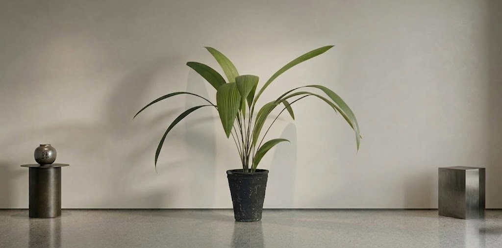 観葉植物リース レンタル